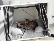 Maya Nook con un letto a bolster all'interno con un gatto che ci dorme sopra