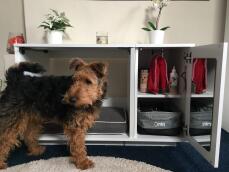 a brown and black dog with a fido niche with a bed inside and a wardrobe attached