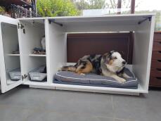 A dog in his crate made out of white furniture