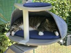 A cat resting in the den of his outdoor cat tree