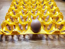 an egg in a yellow stand