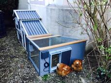 Omlet grijze automatische kippenhokdeur bevestigd aan houten kippenhok met kippen buiten