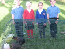 Regan, April, Reyhan, Brandyn mit Hühnern