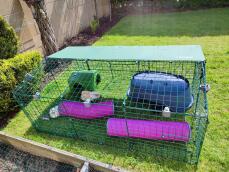 Two guinea pigs in their run, with a shelter and two pink play tunnels