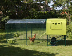 Grøn Eglu Cube hønsehus med løbegård og klart dæksel med en kylling i løbegården