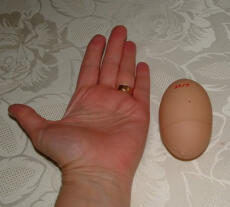 La main et l'œuf