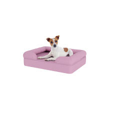 Perro sentado en una cama para perros de espuma con memoria de color lila y lavanda
