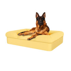 Hund sitzend auf mellow yellow großem memory foam nackenrolle hundebett