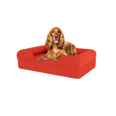 Hond zittend op kersen rood medium memory foam bolster hondenbed