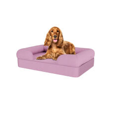 Pies siedzący na lawendowym liliowym leGowisku dla psa z pianki memory foam