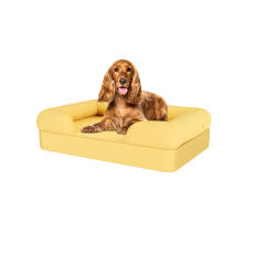 Hund sitter på mellow yellow medium memory foam bolster hund säng