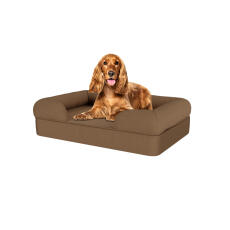 Hund sitzt auf mittelgroßem mokka-braunem memory-schaumstoff-hundebett