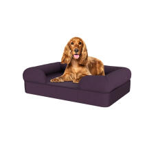 Hond zittend op medium pruim paars memory foam bolster hondenbed