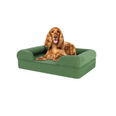 Hond zittend op medium salie groen memory foam bolster hondenbed