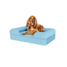 Pies siedzący na średnim niebieskim leGowisku dla psa z pianki memory foam