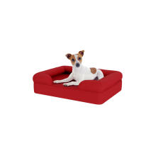 Cane seduto su piccolo merlot rosso memoria schiuma bolster letto per cani
