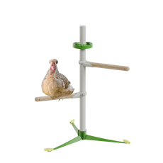 Hühner im freistehenden sitzstangensystem federset