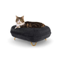 Gato sentado en Maya donut cat bed in earl grey with Gold hairpin feet