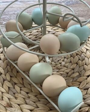 Eggs ready to be enjoyed