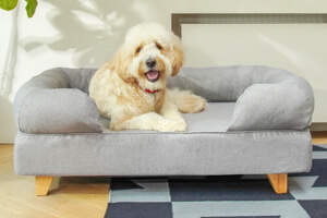 Topology Dog Bed with Bolster Topper and Square Wood Feet - Medium