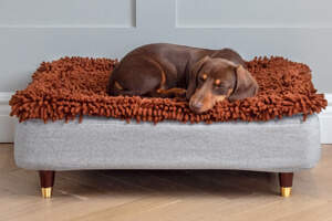 Topology Dog Bed with Microfibre Topper and Brass Cap Wood Feet  - Small