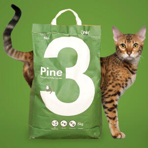 Żwirek dla Kotów Omlet Nr 3 - Pine - 10L