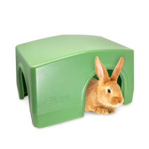 Zippi Rabbit Shelter - Green