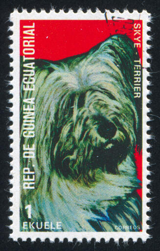 A Skye Terrier on a West African stamp