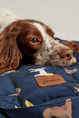 Dog Laying Down on Joules Travel Dog Mat
