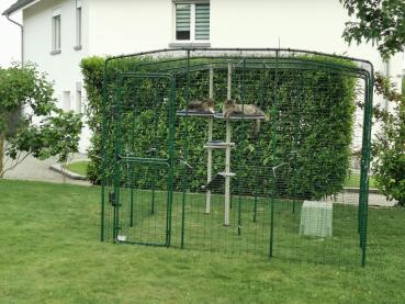 Create a safe outdoor space for your cats