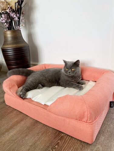 Un gato descansando en una alfombra fresca que está sobre una cama para gatos.