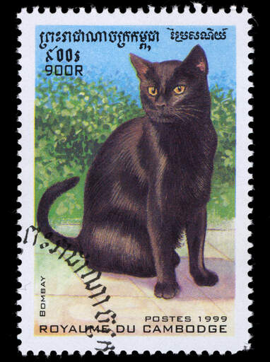 Ett frimärke av en bombay-katt från kambodja