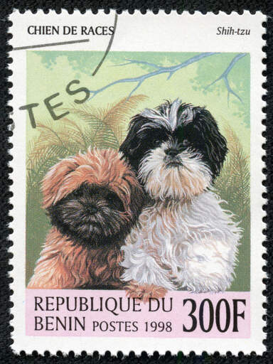 Två shih tzu's på ett västafrikanskt frimärke