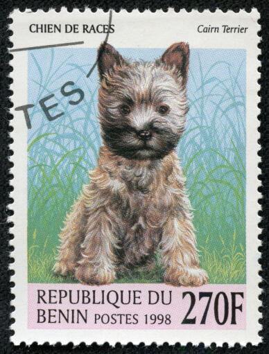 En cairnterrier på ett västafrikanskt frimärke