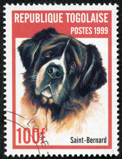 Un saint bernard sur un timbre ouest-africain 1
