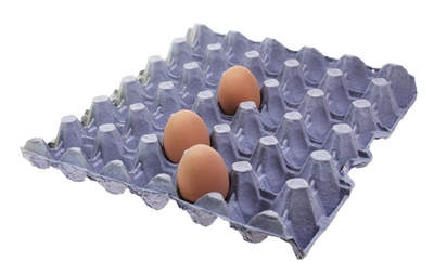 Egg Trays - Purple Pack of 8