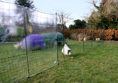 Ekran Clear Wind Break na ogrodzenie Chicken Fencing - zestaw