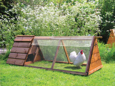 Transparant dekzeil voor kippenren - 1.5m x 0.9m