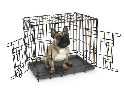 Cage de transport pour chien Omlet Fido Classic 24 - 61 cm