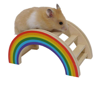 Regenbogen Spielbrücke für Kleintiere