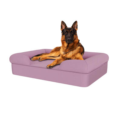 Memory Foam Bolster Dog Bed - Large - Lavender Lilac