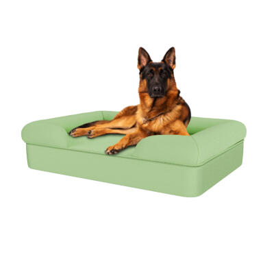 Memory Foam Bolster Dog Bed - Large - Matcha Green