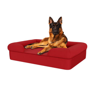 Memory Foam Bolster Dog Bed - Large - Merlot Red