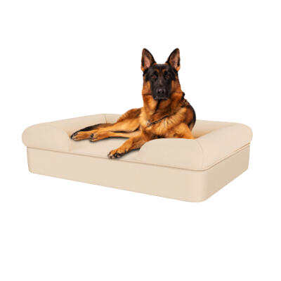 Memory Foam Bolster Dog Bed - Large - Natural Beige