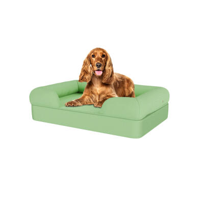 Memory Foam Bolster Dog Bed - Medium - Matcha Green