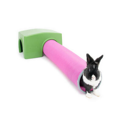 Abri pour lapins Zippi avec Tunnel de Jeu - Vert et Violet