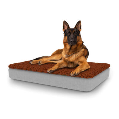 Lujosa cama para perro fácil de limpiar con funda de microfibra - Grande