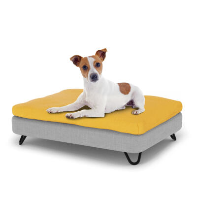 Lujosa cama para perro fácil de limpiar con funda puf y patas de de horquillas negras - Pequeña