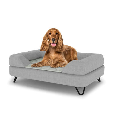 Topology Dog Bed with Bolster Topper and Black Metal Hairpin Feet - Medium