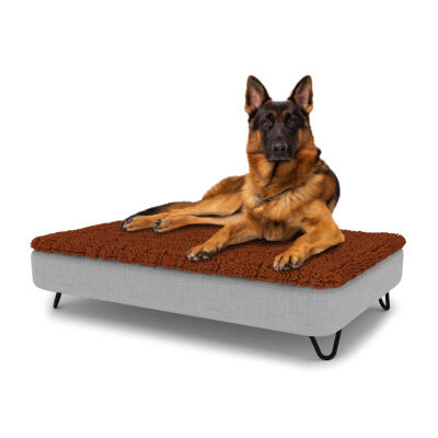 Lujosa cama para perro fácil de limpiar con funda de microfibra y patas de de horquillas negras - Grande
